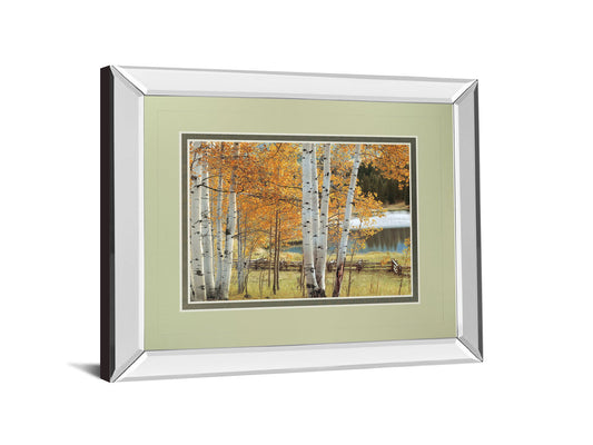 Birch Beauty By Mike Jones - Mirror Framed Print Wall Art - Light Brown