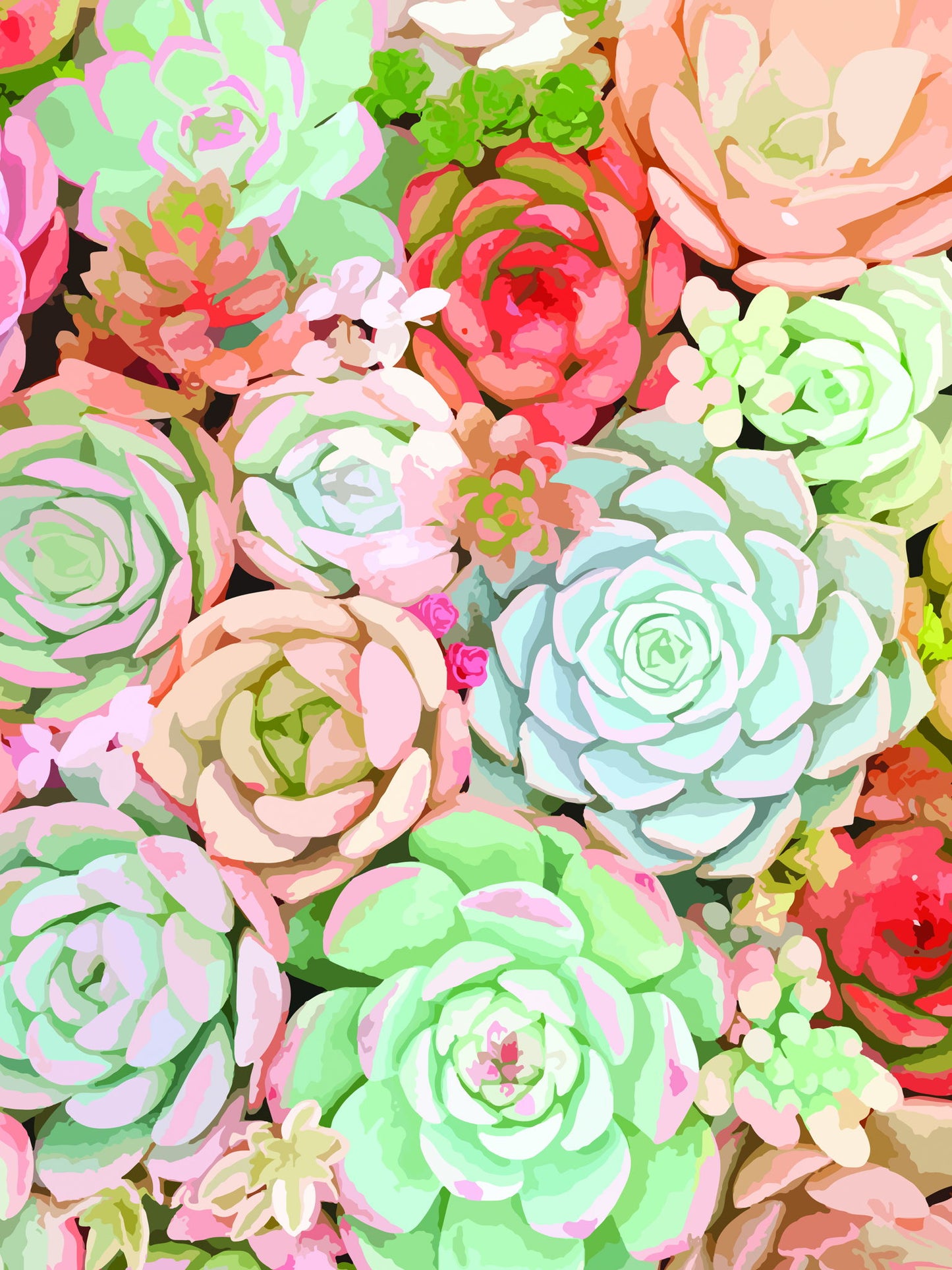 Framed - Succulent By Tamara Robinson - Pink