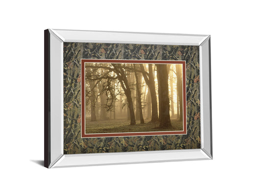 Woodland Sweep By Dennis Frate - Mirror Framed Print Wall Art - Light Brown