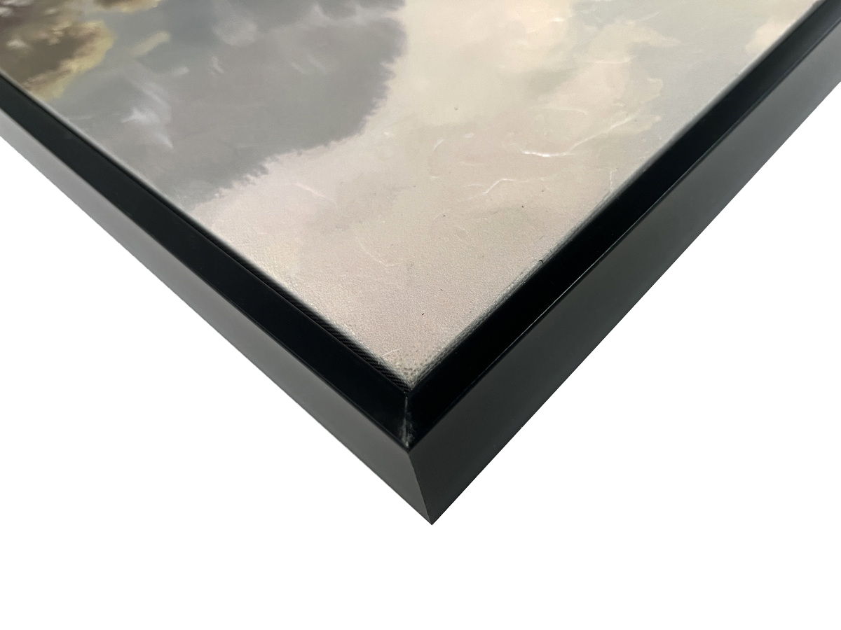 Jurassic Trail I Textured Canvas In Frame - Black / Brown