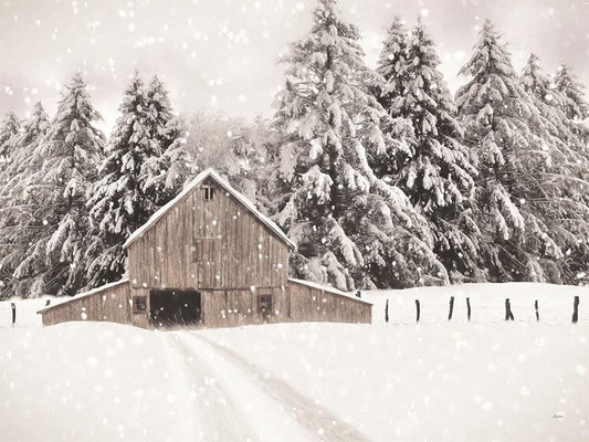 North Country By Lori Deiter - Beige