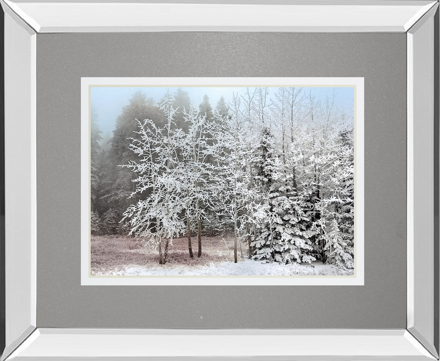 Frosty Morning By Mike Jone - Mirror Framed Print Wall Art - Gray