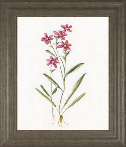 22x26 Delicate II By Sally Swatland - White