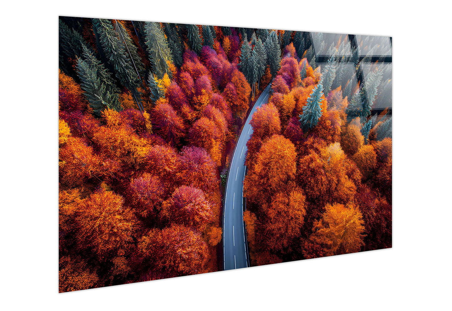 Autumn Bend Tempered Glass - Orange / Red