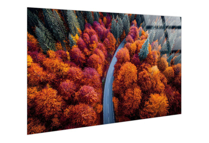 Autumn Bend Tempered Glass - Orange / Red