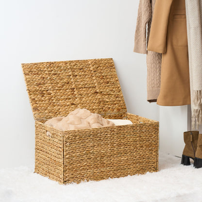 Ludmila - Rectangular Storage Trunk