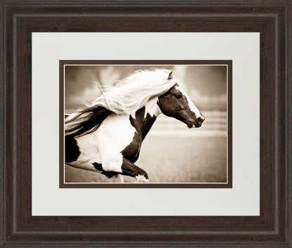 Gypsies Pride By Carol Walker - Framed Print Wall Art - Light Brown