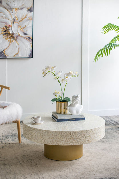 Unique Capiz Coffee Table & Pedestal Base