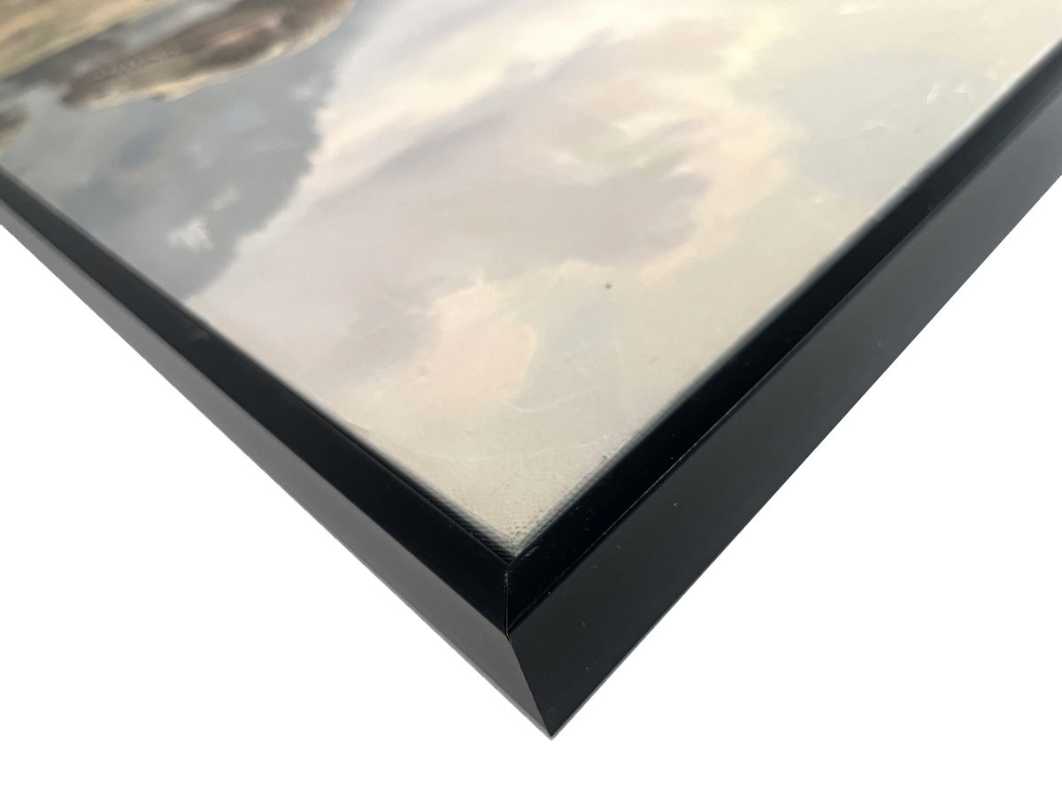 Jurassic Trail II Textured Canvas In Frame - Black / Brown