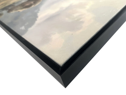 Jurassic Trail II Textured Canvas In Frame - Black / Brown