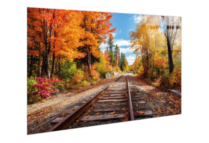 Autumn Passage Tempered Glass - Orange / Gold
