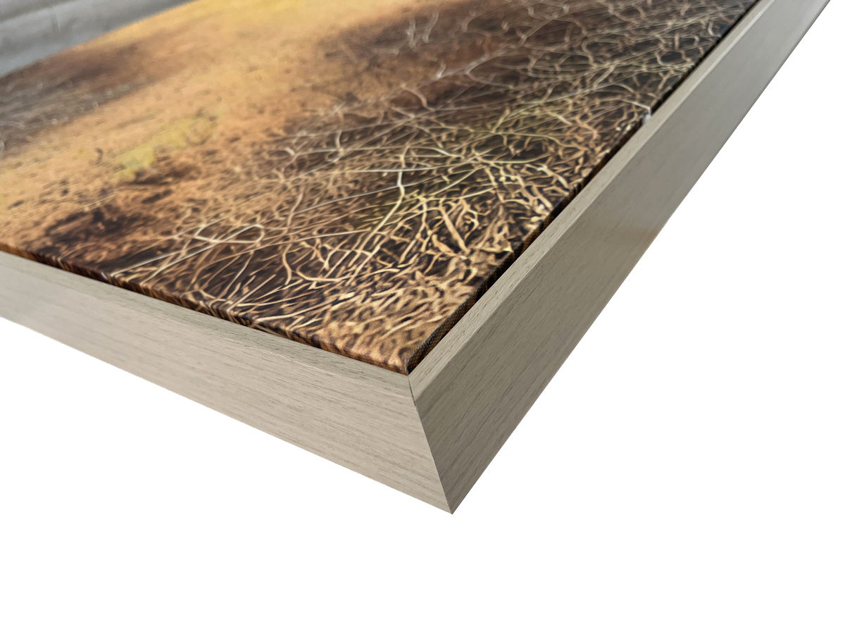 Savanna Gaze Hand-Embellished Canvas In Frame - Brown / Tan