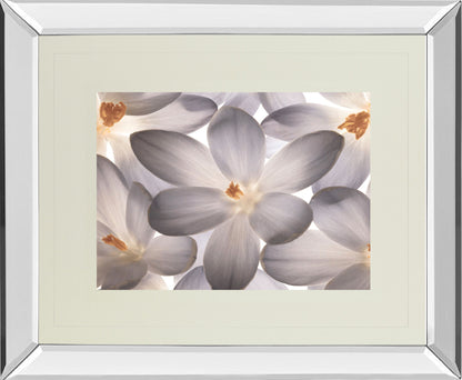 Petal Perfect By Assaf Frank - Mirror Framed Print Wall Art - Beige