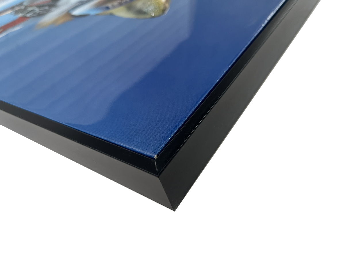 Skybound Pals I Gloss Canvas With Rocks In Frame - Blue / Orange