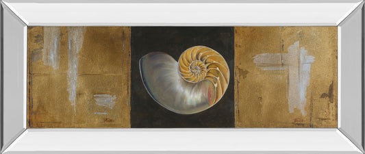 Seashells Il By Patricia Pinto - Mirror Framed Print Wall Art - Gold