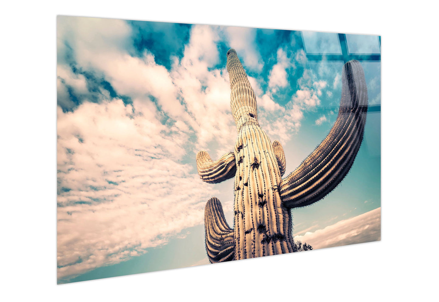 Desert Sentinel Tempered Glass - Beige / Teal
