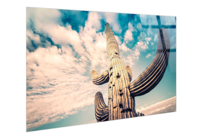Desert Sentinel Tempered Glass - Beige / Teal