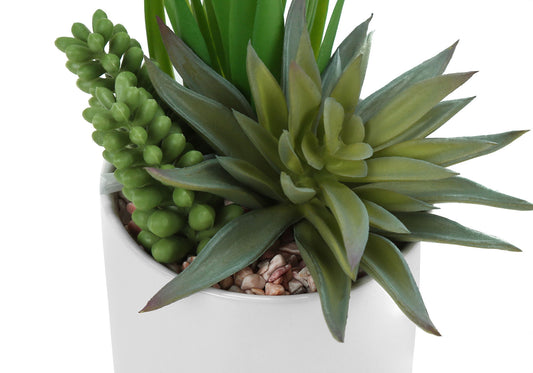 Artificial Succulent Plants (Set of 2)
