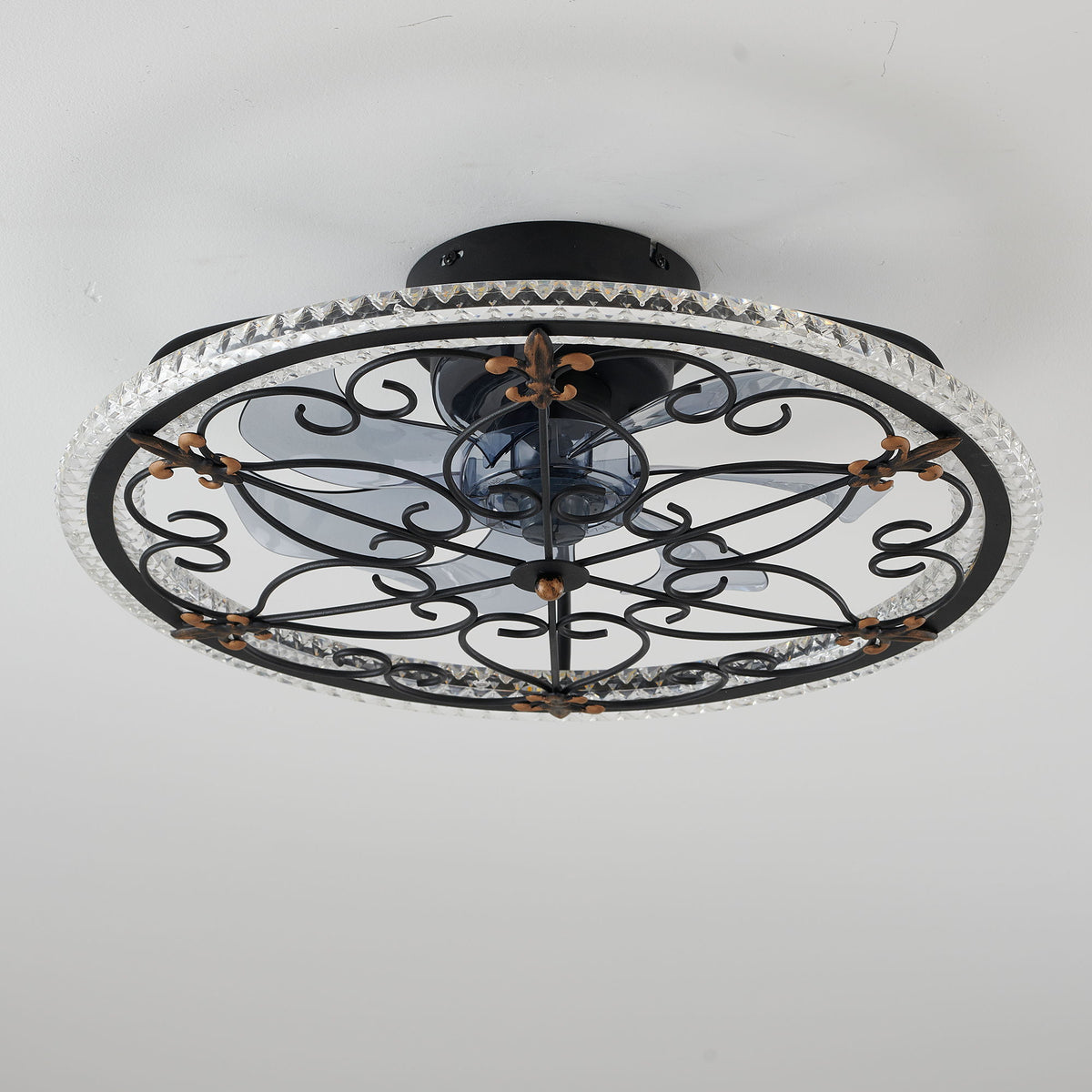 Caged Ceiling Fan With Remote Controlled LED Light - Matte Black