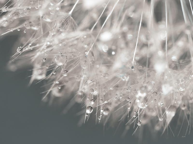 Droplet In Time II By Lori Deiter - Gray