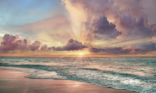 Small - Copper Beach By Mike Calascibetta - Beige