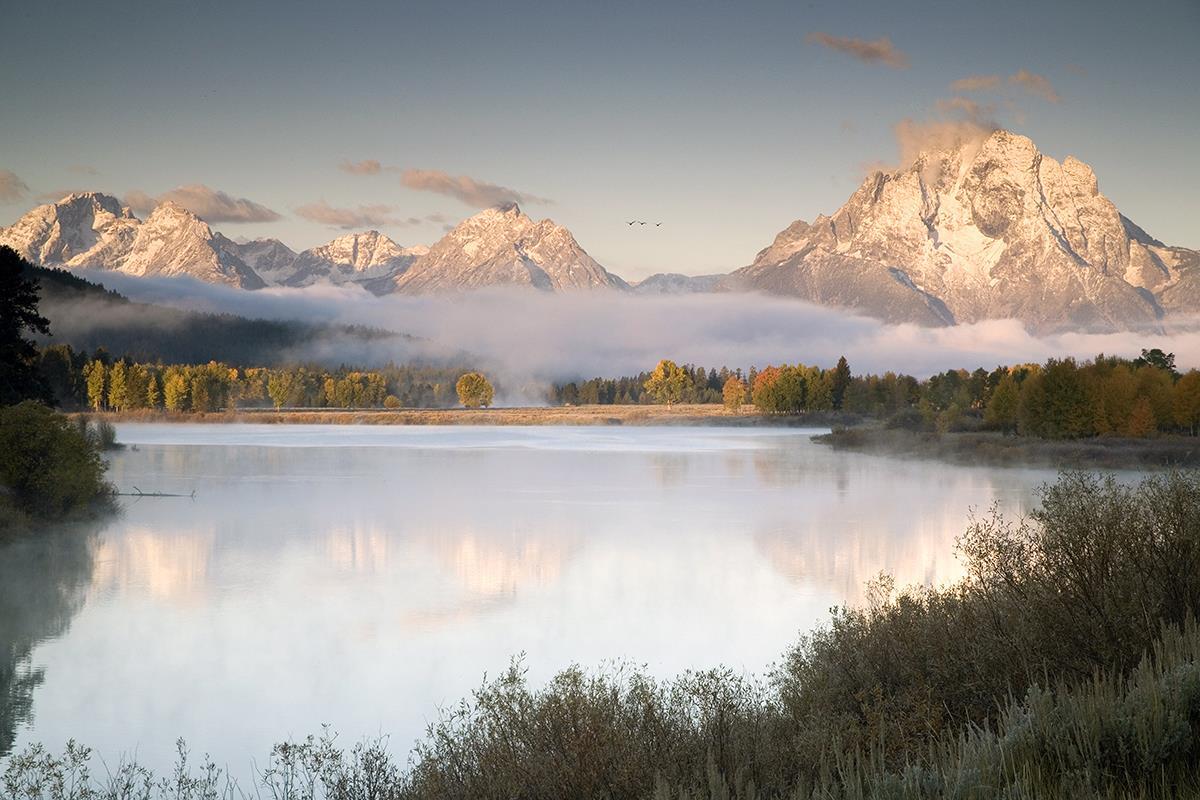 Snake River Fog By Danita Delimont (Small) - Gray
