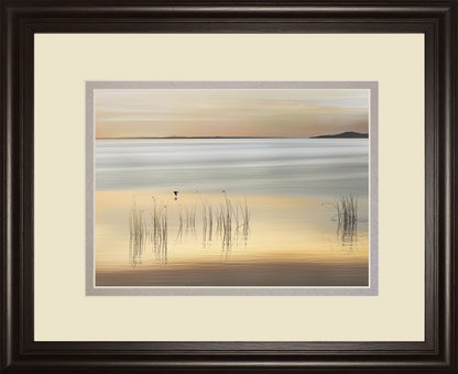 Golden By Marvin Pelkey - Framed Print Wall Art - Beige