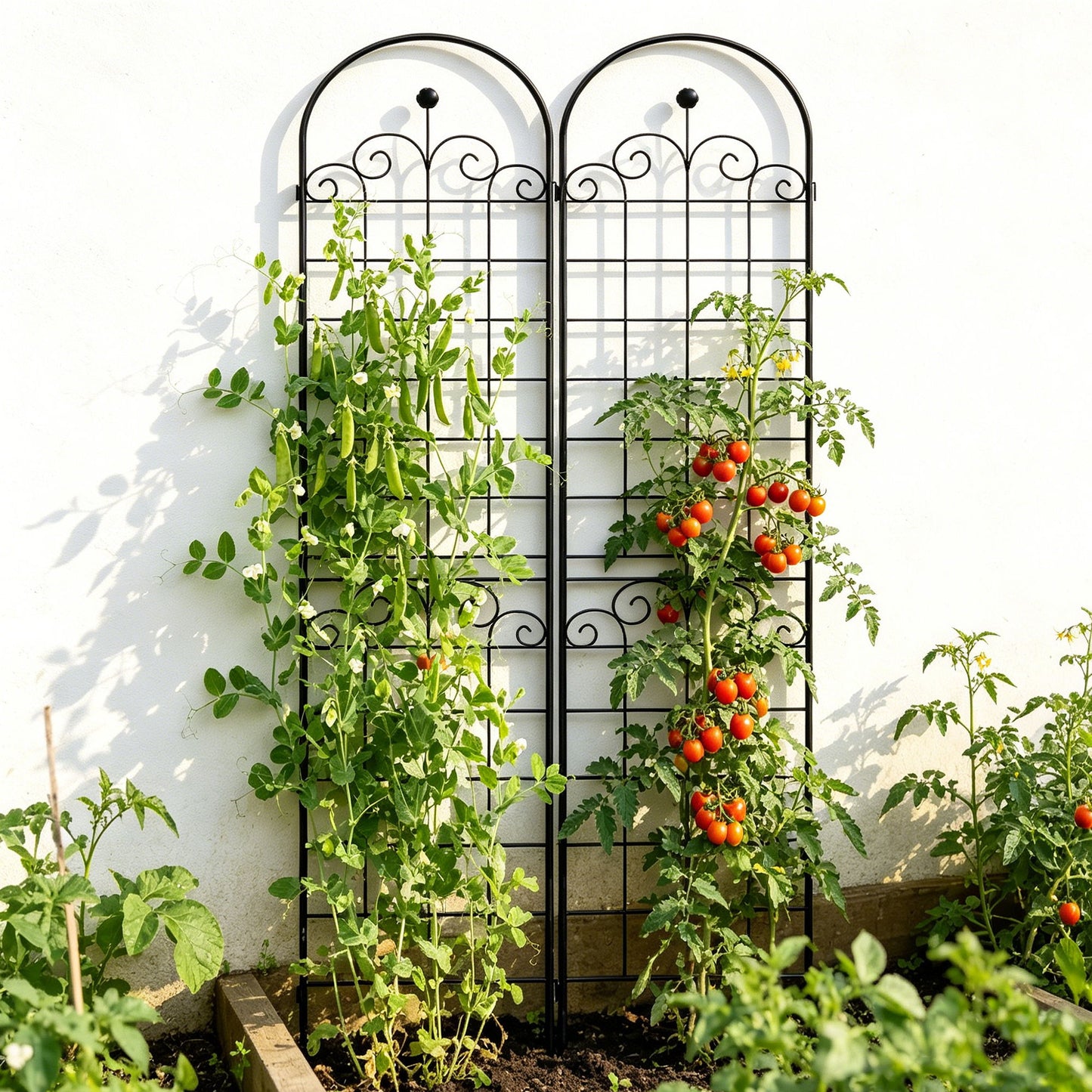 Metal Garden Trellis For Climbing Plants Outdoor Rustproof Plant Support Rose Trellis Netting Trellis